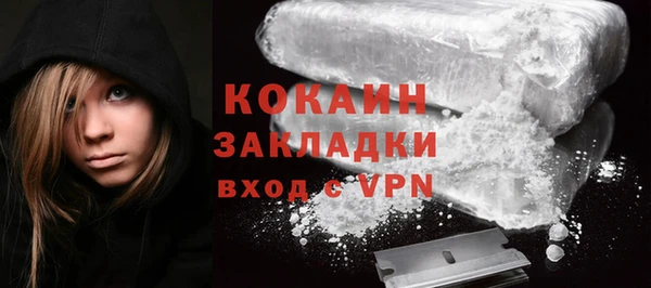 шишки Фёдоровский