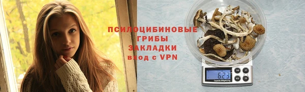 ГАЛЛЮЦИНОГЕННЫЕ ГРИБЫ Пестово
