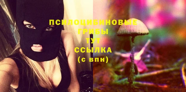 mdma Пересвет