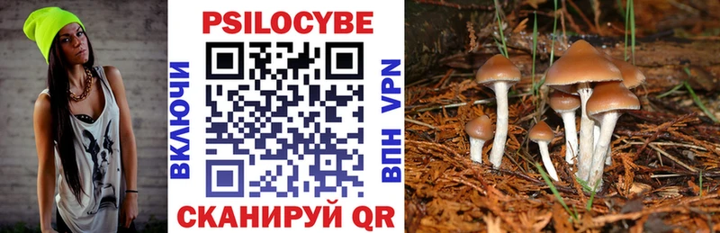 Галлюциногенные грибы Psilocybine cubensis  купить закладку  Реутов 