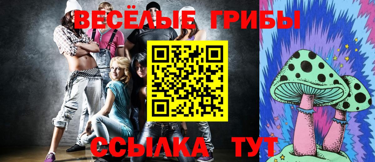 Псилоцибиновые грибы мицелий  Реутов 